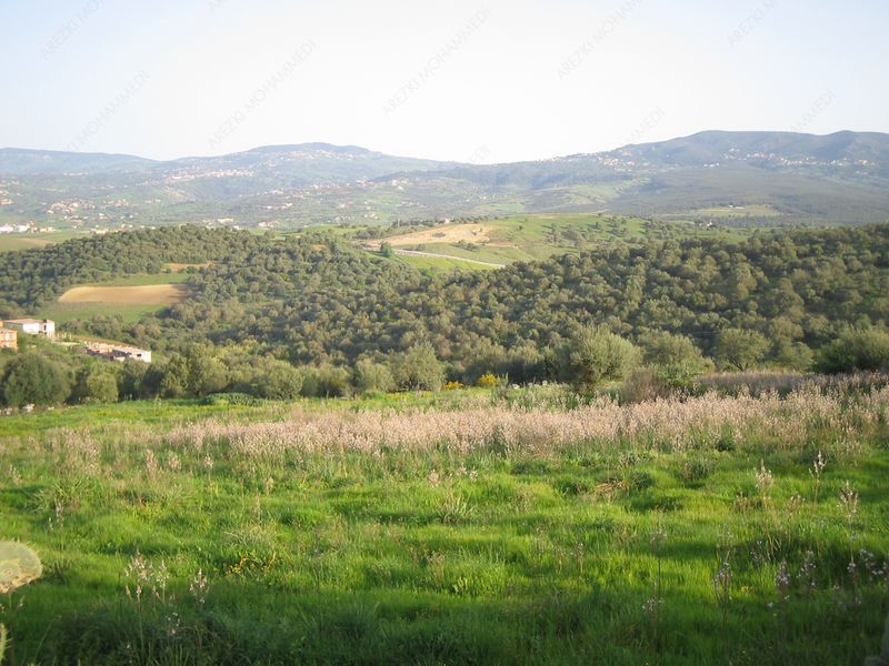 20121002233202.jpg