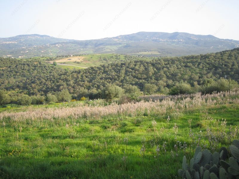 20121002233246.jpg