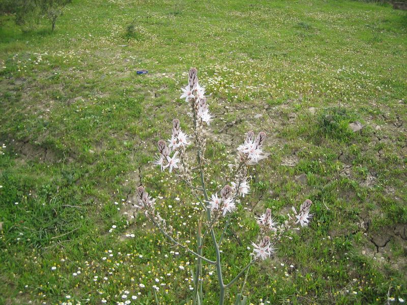 20121002233519.jpg