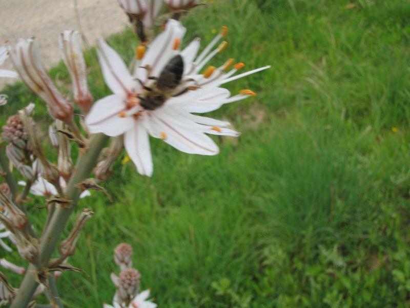 20121002233552.jpg