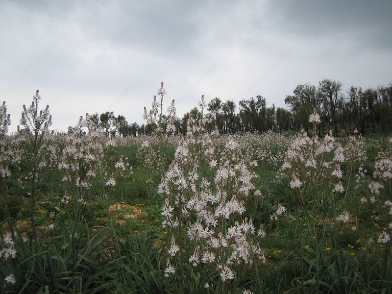 20121002233854.jpg